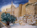 Snowy Jerusalem 2008